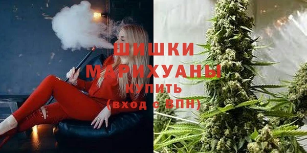 эйфоретик Вяземский